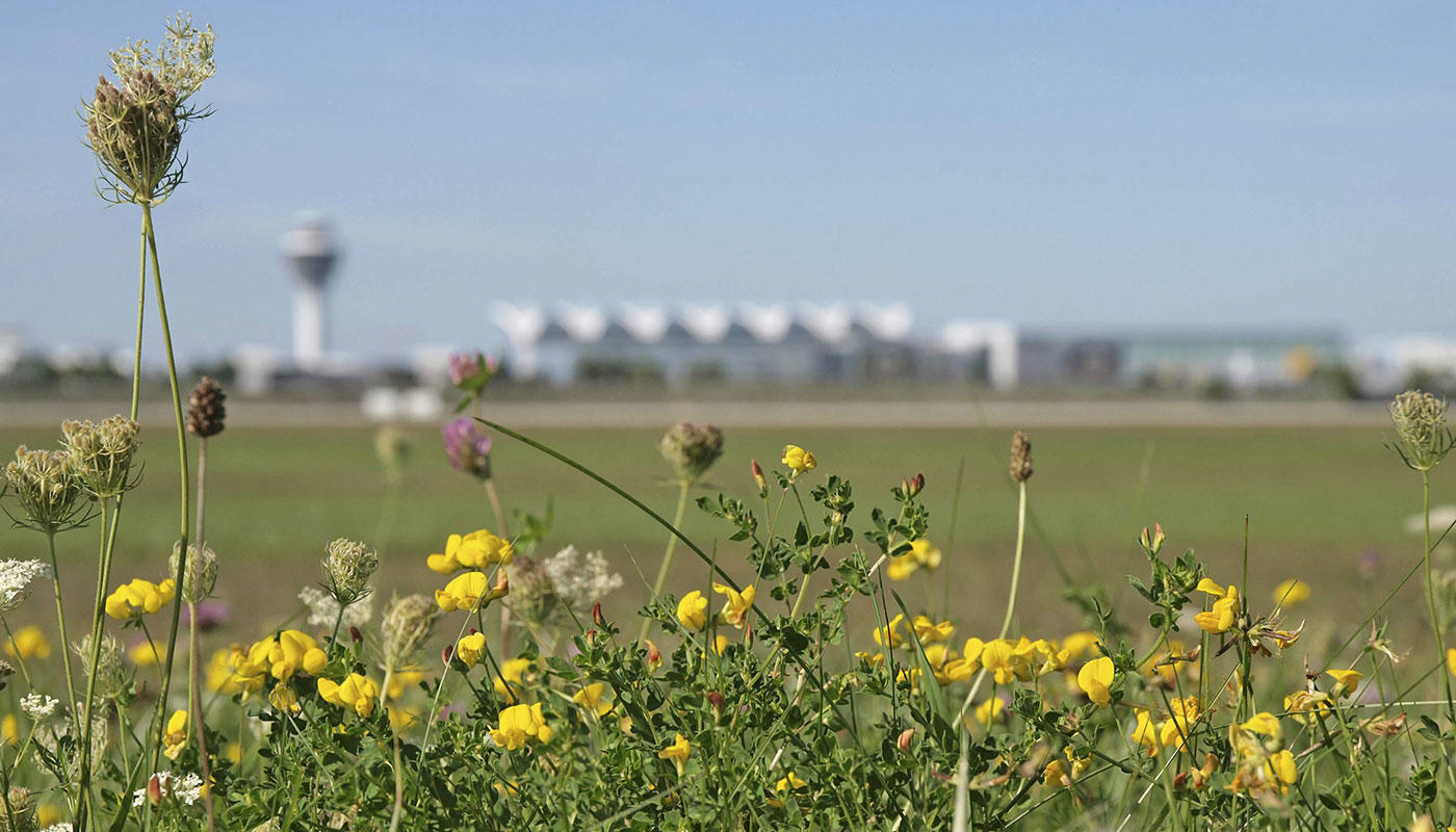 Bericht 2024 Bericht 2024