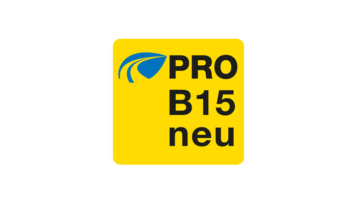 Logo Pro B15 neu