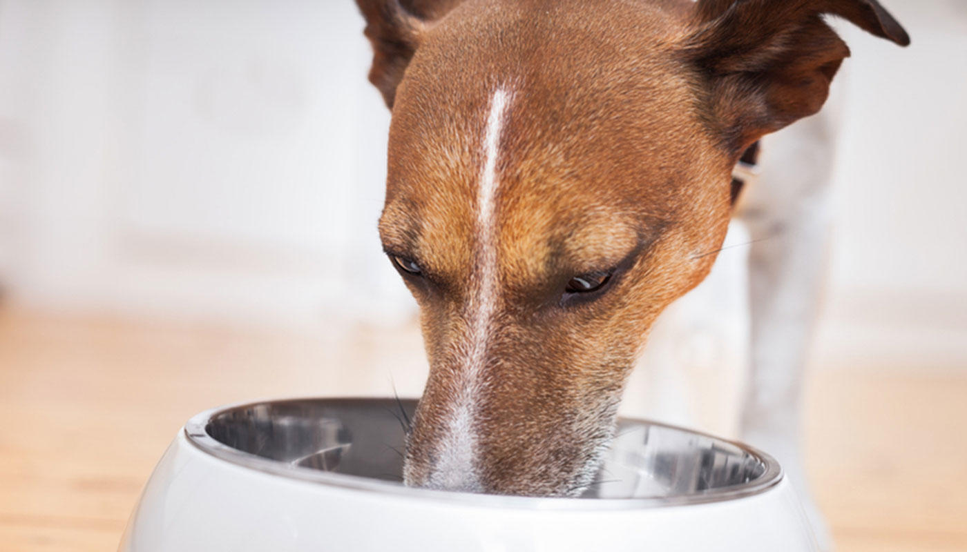 Tips for arrival Tips for arrival