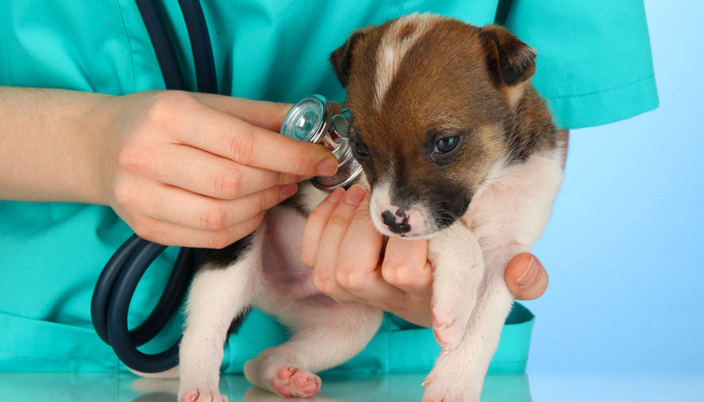 Prior to departure and on the day of departure Prior to departure and on the day of departure