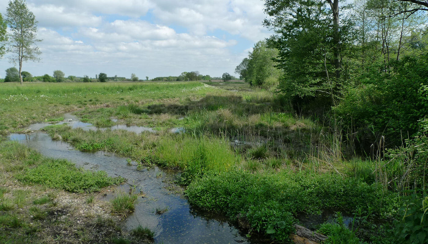 Environmental protection in the airport region Environmental protection in the airport region
