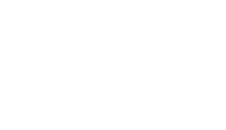Logo Norwegian 
