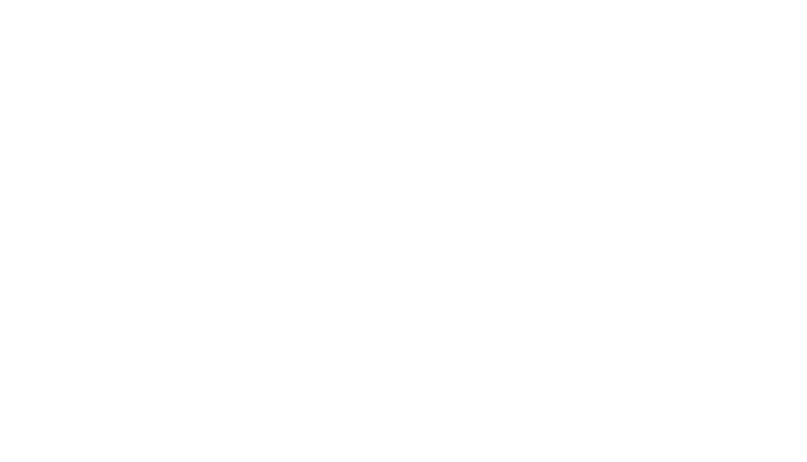 Shopping