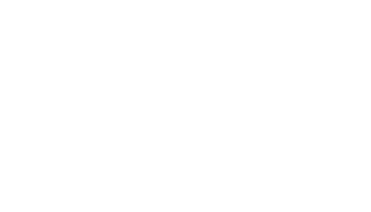 Netzwerk