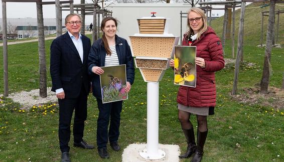 Insektenhotel