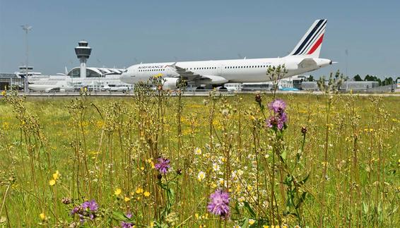 Durch die extensive Pflege der Flughafenwiesen leben auf dem Airportgelände eine Vielzahl von Tier- und Pflanzenarten. Blütenpflanzen können sich optimal entwickeln, da die Flächen nur zweimal im Jahr gemäht und keine Pflanzenschutzmittel eingesetzt werden. Zudem betreibt die FMG auf dem Flughafen-Campus mittlerweile vier „Insektenhotels“, in denen die Tiere überwintern und nisten können. Bereits 2016 startete die FMG überdies ein Projekt zum Schutz bedrohter Schmetterlingsarten im Freisinger Moos.