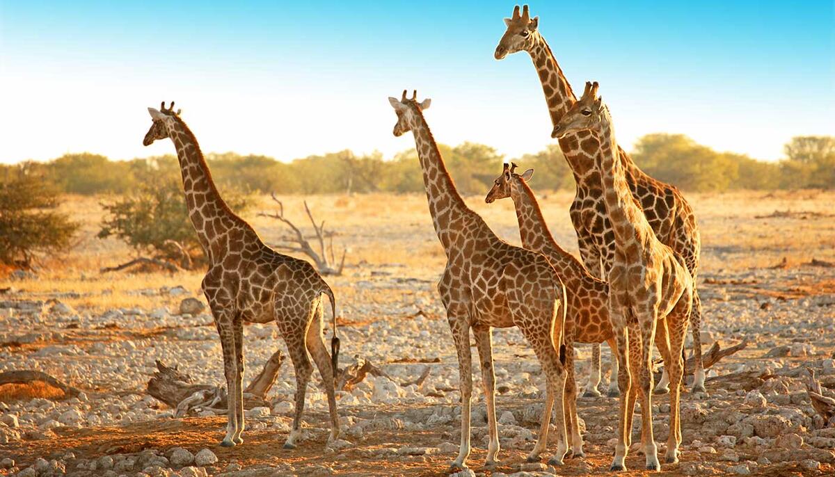 Jetzt ansehen Jetzt ansehen