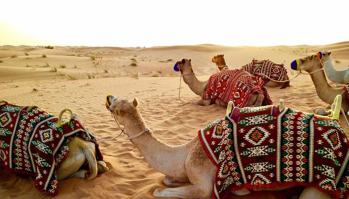 Jetzt ansehen Jetzt ansehen