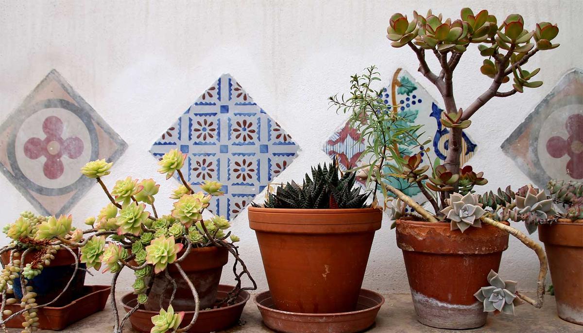 Blogartikel von Elisa Model Blogartikel von Elisa Model