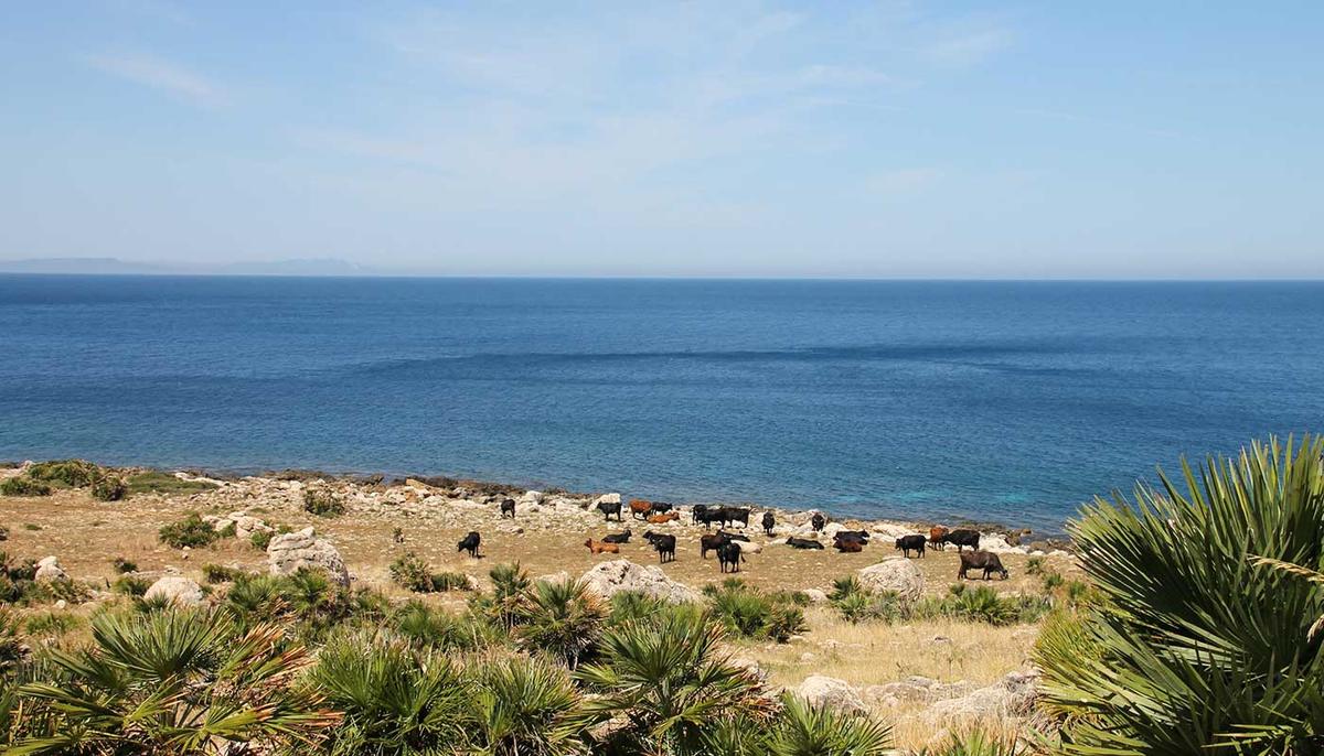 Blogartikel von Elisa Model Blogartikel von Elisa Model