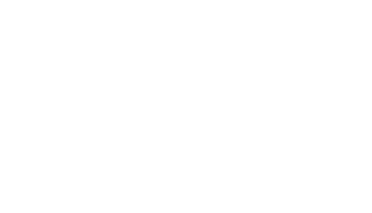 Icon: capacity analysis and simulation