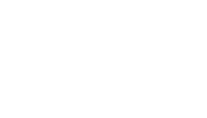 Icon: solutions