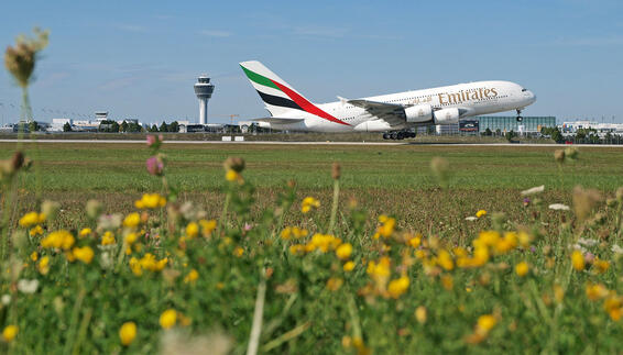 Start eines Airbus A380 von Emirates im Frühling Start eines Airbus A380 von Emirates im Frühling