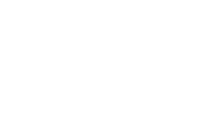 Terminal parking