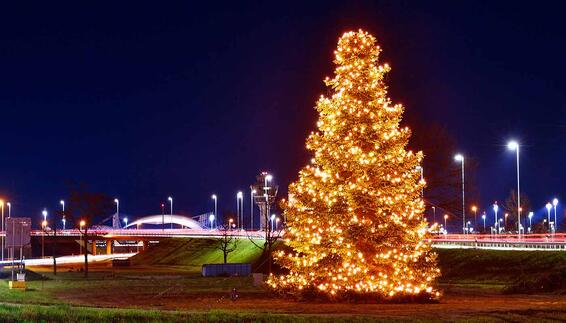 Christbaum an der Zentralallee