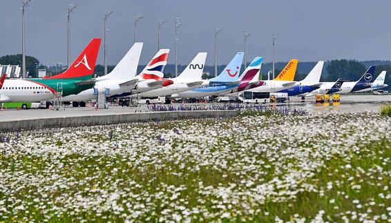 Line-up am Terminal 1 