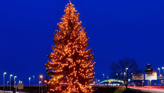 18 Meter hoher Christbaum an der Zentralallee des Münchner Airports