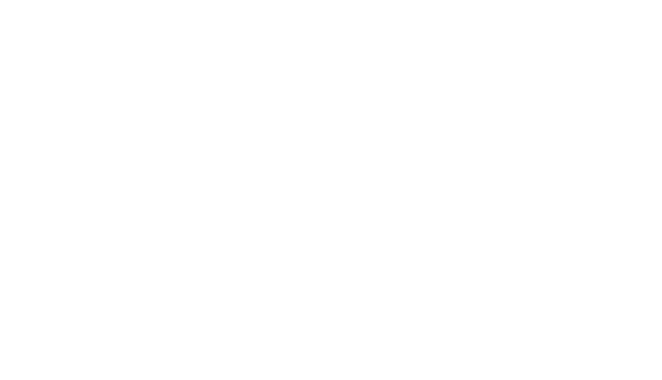 Norwegian logo