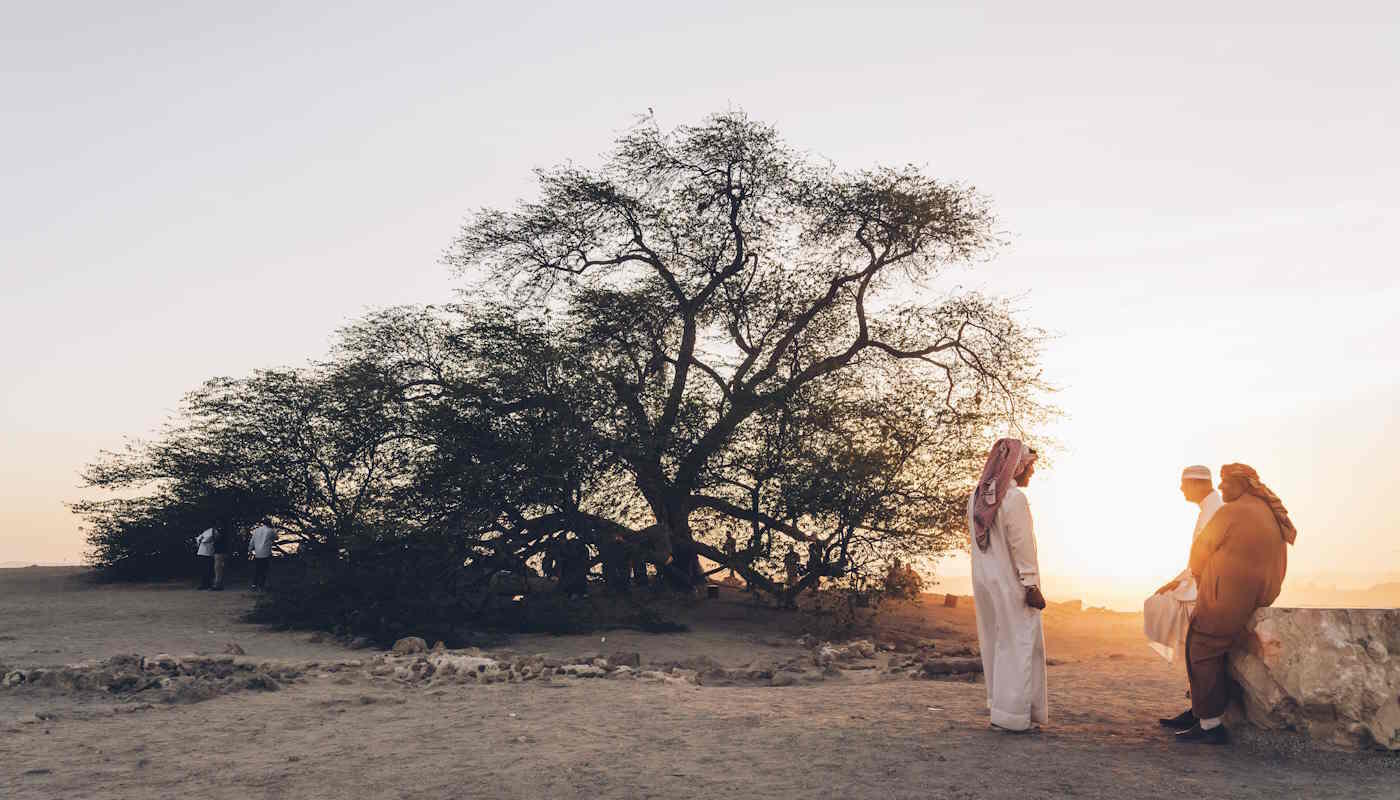 Baum des Lebens Shajarat-al-Hayat Baum des Lebens Shajarat-al-Hayat
