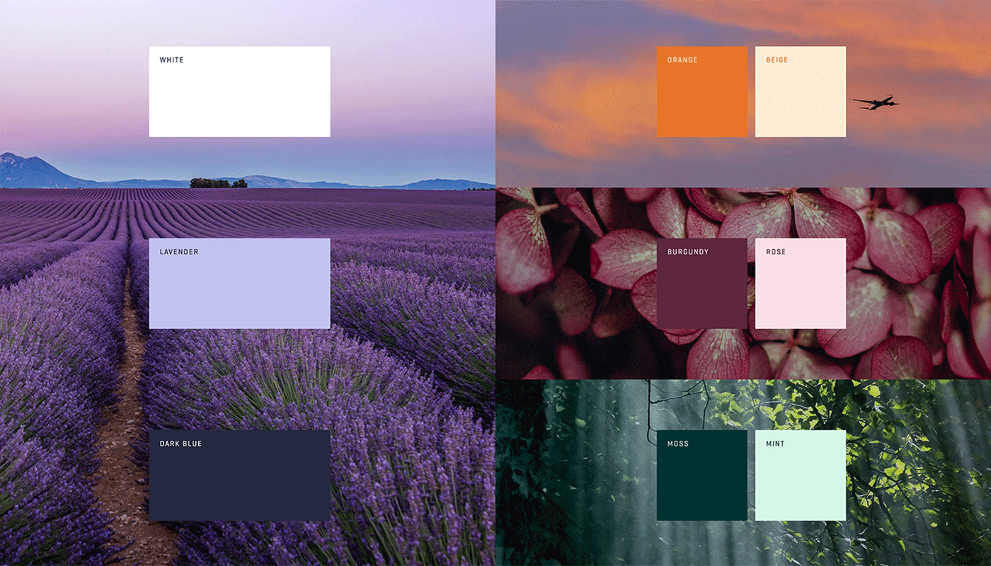 Marke Farbe Marke Farbe