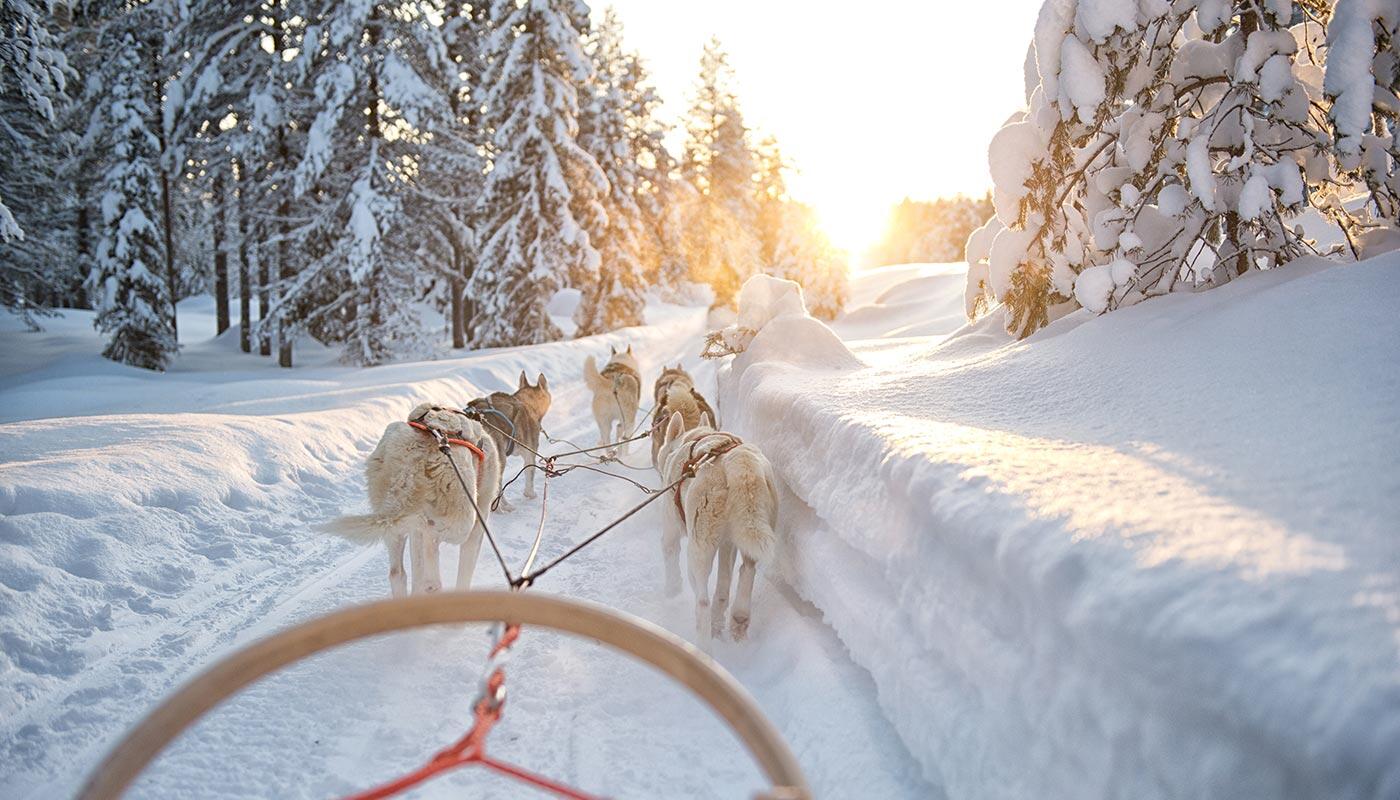 Ideen für deinen Winterurlaub Ideen für deinen Winterurlaub