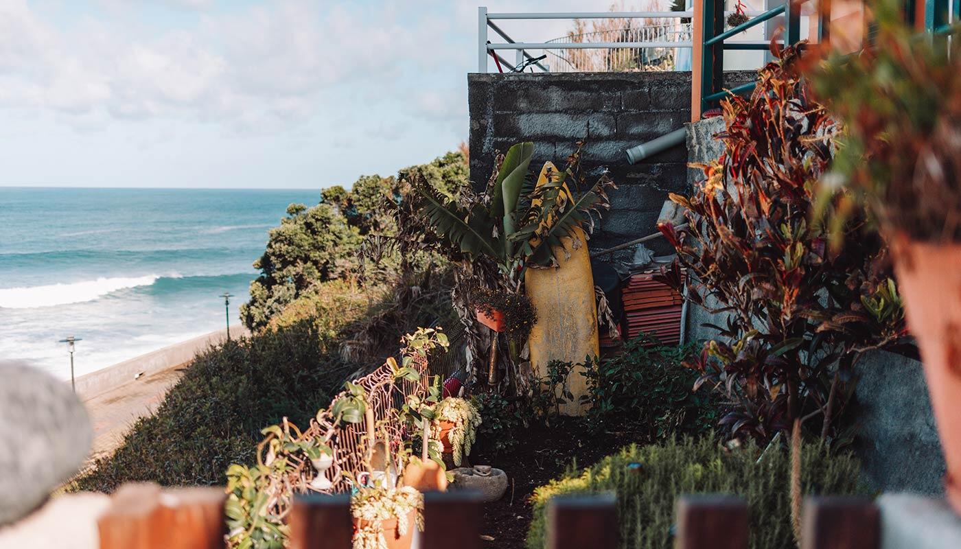 Die Insel des ewigen Frühlings Die Insel des ewigen Frühlings