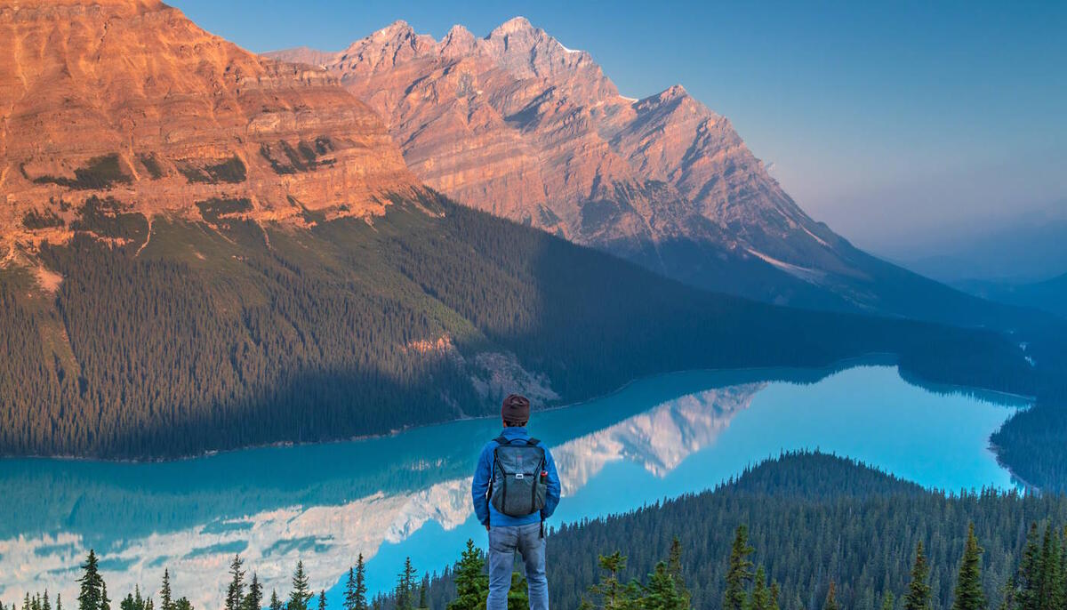 Jetzt ansehen Jetzt ansehen