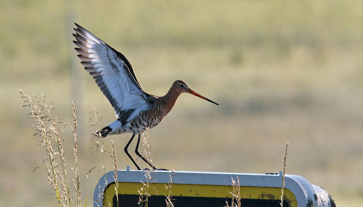 Unser Vogelschutzgebiet Unser Vogelschutzgebiet