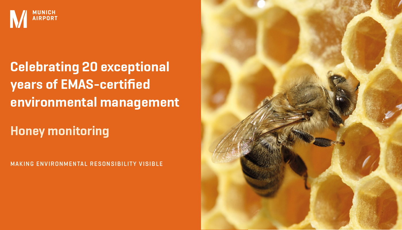 Learn more Learn more