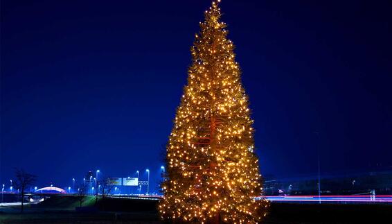 Christbaum erstrahlt an der  Zentralallee am Münchner Airport