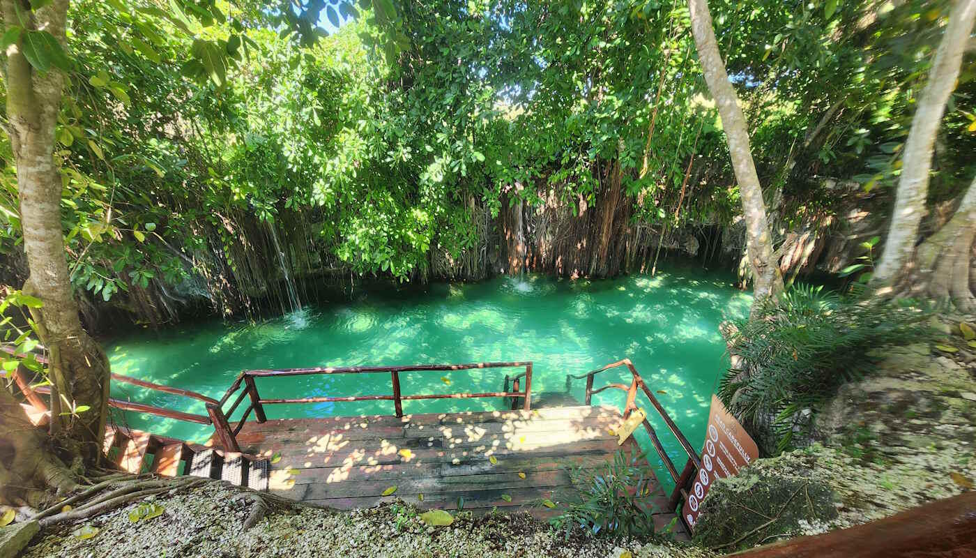 Cenote Punta Cana Eine natürliche Cenote in Punta Cana mit türkisgrünem, klarem Wasser, umgeben von dichter tropischer Vegetation. Von oben führt eine hölzerne Treppe mit Geländer hinunter zum Wasser, das von Baumwurzeln, Lianen und herabhängenden Ästen eingerahmt ist. Sonnenlicht fällt durch das Blätterdach und spiegelt sich schimmernd auf der ruhigen Wasseroberfläche.