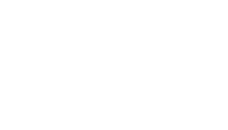 Icon Diamant