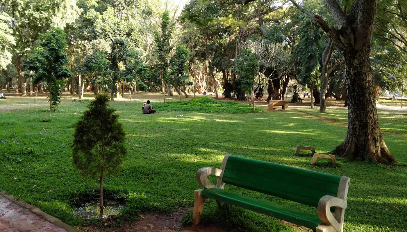 Park in Bangalore, Indien Ruhiger, grüner Park in Bangalore, Indien, mit vielen großen Bäumen, gepflegtem Rasen und einer grünen Sitzbank im Vordergrund. In der Mitte sitzt eine Person entspannt auf der Wiese, was der Szene eine friedliche und erholsame Atmosphäre verleiht.