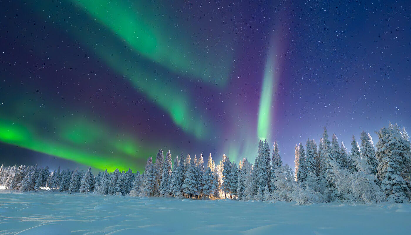 Polarlichter in Lappland, Finnland Grüne Polarlichter am Himmel über schneebedeckten Bäumen in Lappland, Finnland