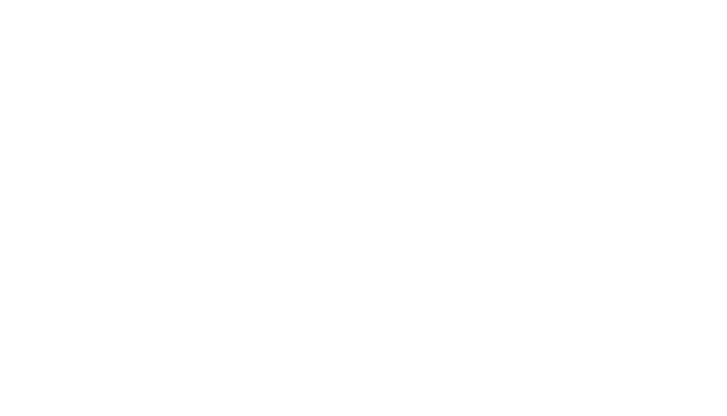 Revolut