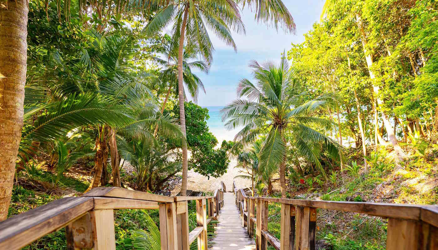 Stand in Phuket, Thailand Ein schmaler Holzsteg mit Geländer führt durch dichten tropischen Palmenwald hinunter zu einem hellen Sandstrand und dem türkisblauen Meer, das zwischen den Bäumen sichtbar wird. Das Bild zeigt eine tropische Küstenlandschaft auf der Insel Phuket in Thailand.